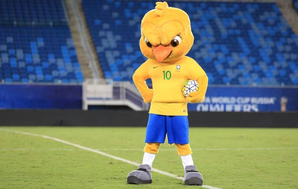 Seleção brasileira tudo sobre a equipe canarinho